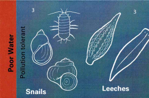 Biotic Indicators 5